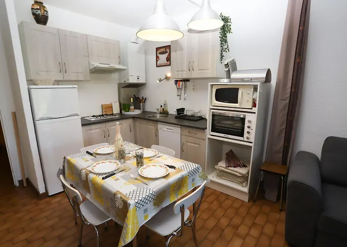 Appartement 4 Personnes Avec Terrasse Au Golf De St Cyprien *